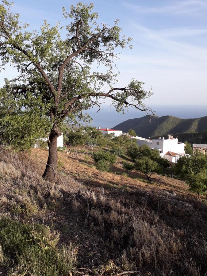 Casa Arte De Sorvilán المظهر الخارجي الصورة